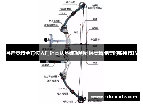 弓箭竞技全方位入门指南从基础规则到提高精准度的实用技巧