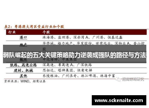 弱队崛起的五大关键策略助力逆袭成强队的路径与方法
